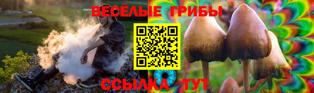 Псилоцибиновые грибы Psilocybine cubensis Краснодар
