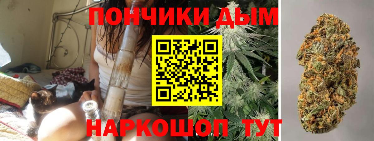 Краснодар  Конопля тримм  Вход с VPN  Бошки Шишки Bruce Banner 